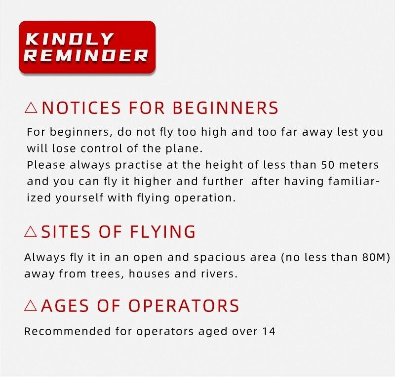 Aerobatic Fighter SG-F22 Aeromodelling Fixed Wing Toys Remote Control Aircraft