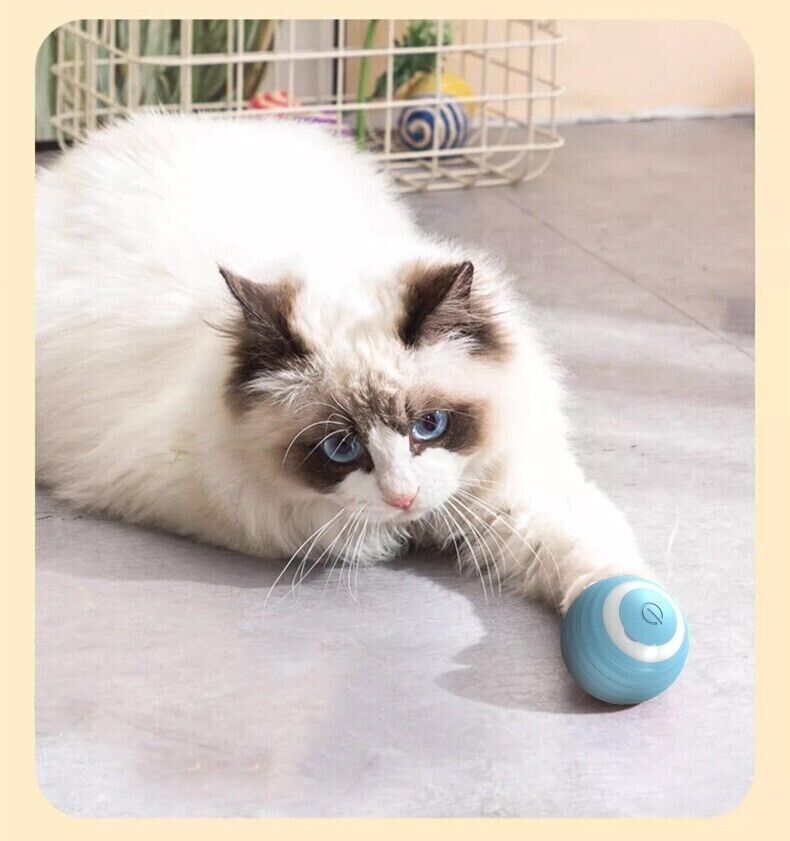 Cat Dog Toy Automatic Rolling Ball Electric Pet Teasing Smart Toys Balls