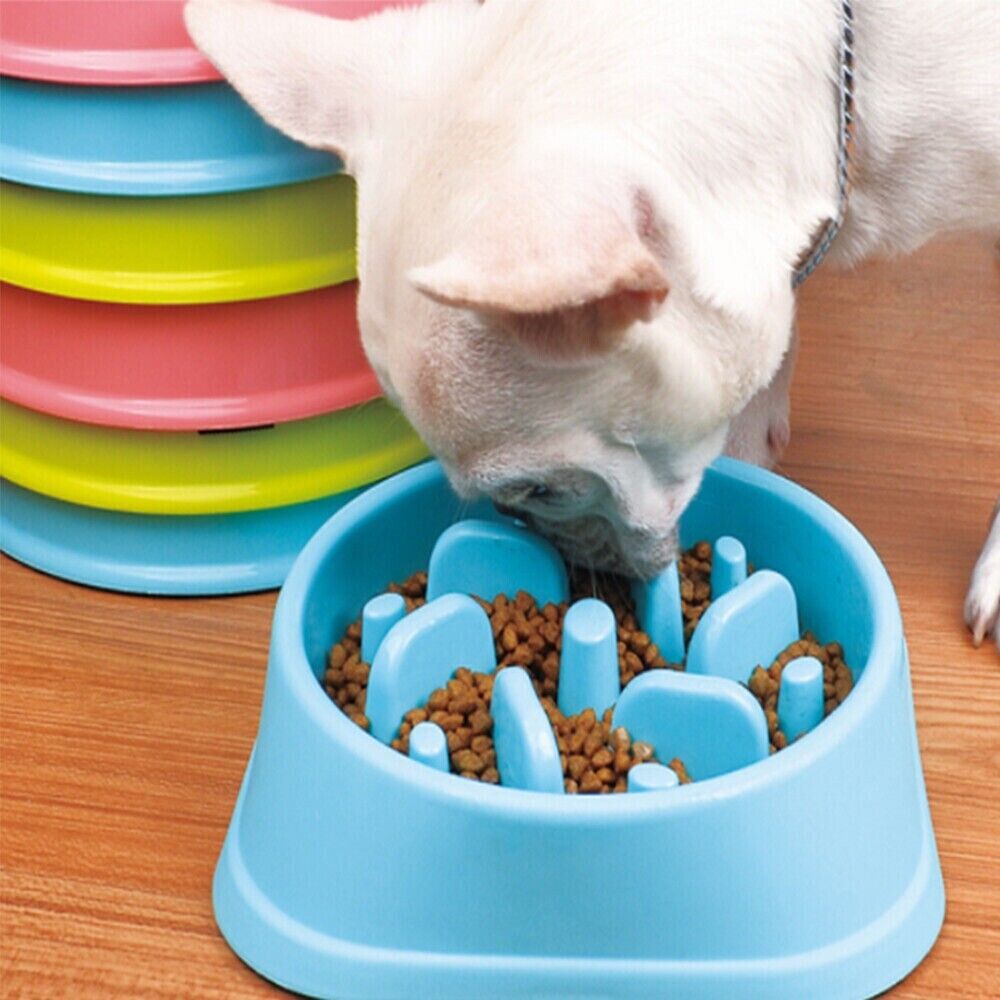 Slow Down Eating NonSlip Feeder Pet Choke Bowl Large Bowl For Medium Large Dog