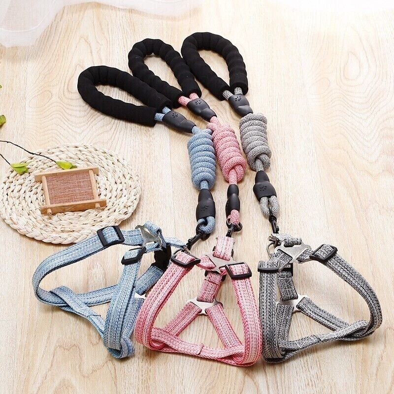 Pet Dog Cat Lead Harness Leash Vest Collar Safe Walking Control Outdoor