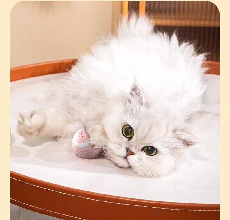Cat Dog Toy Automatic Rolling Ball Electric Pet Teasing Smart Toys Balls