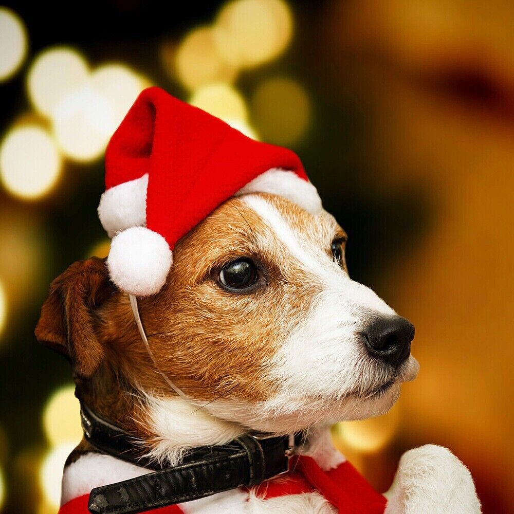 Pet Christmas Decoration Hats Cat Dog Headdress Flannel Shaggy Fluffy Xmas Hat