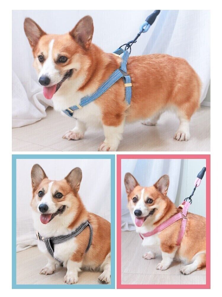 Pet Dog Cat Lead Harness Leash Vest Collar Safe Walking Control Outdoor