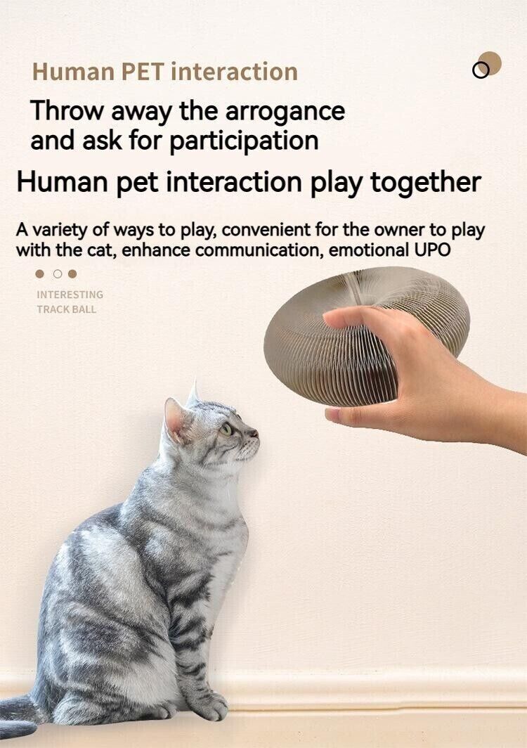 Honeycomb Paper Accordion Turntable Scratch Board Cat Toy Pet Vocal Bell Ball