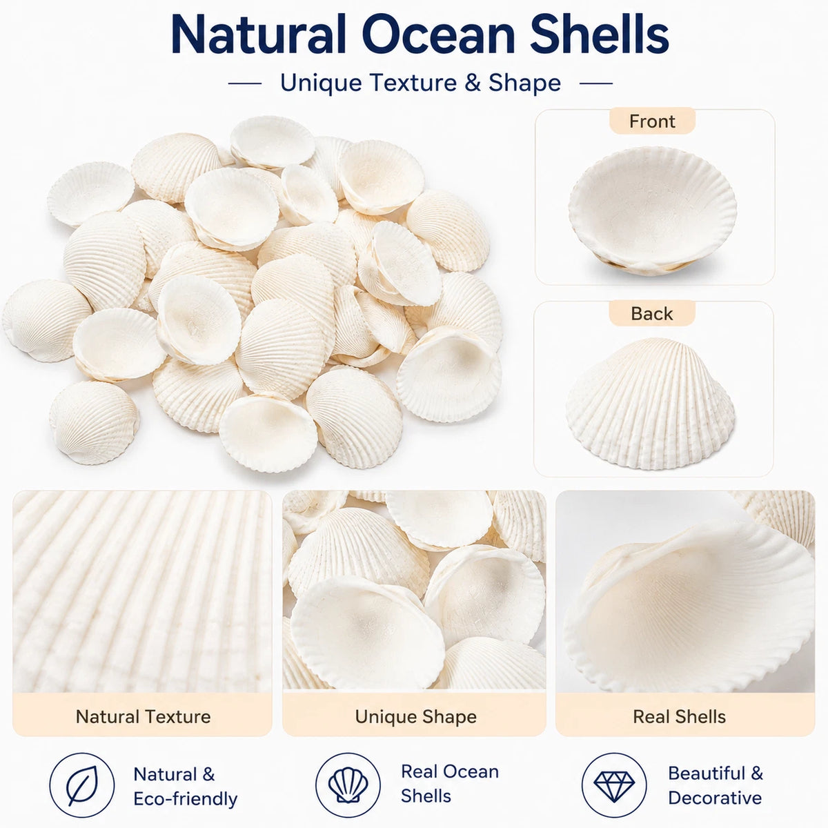 2 Pack White Clam Seashells Shells Craft Jewelery Beads Aquarium Fish Tank Decor 100g Each