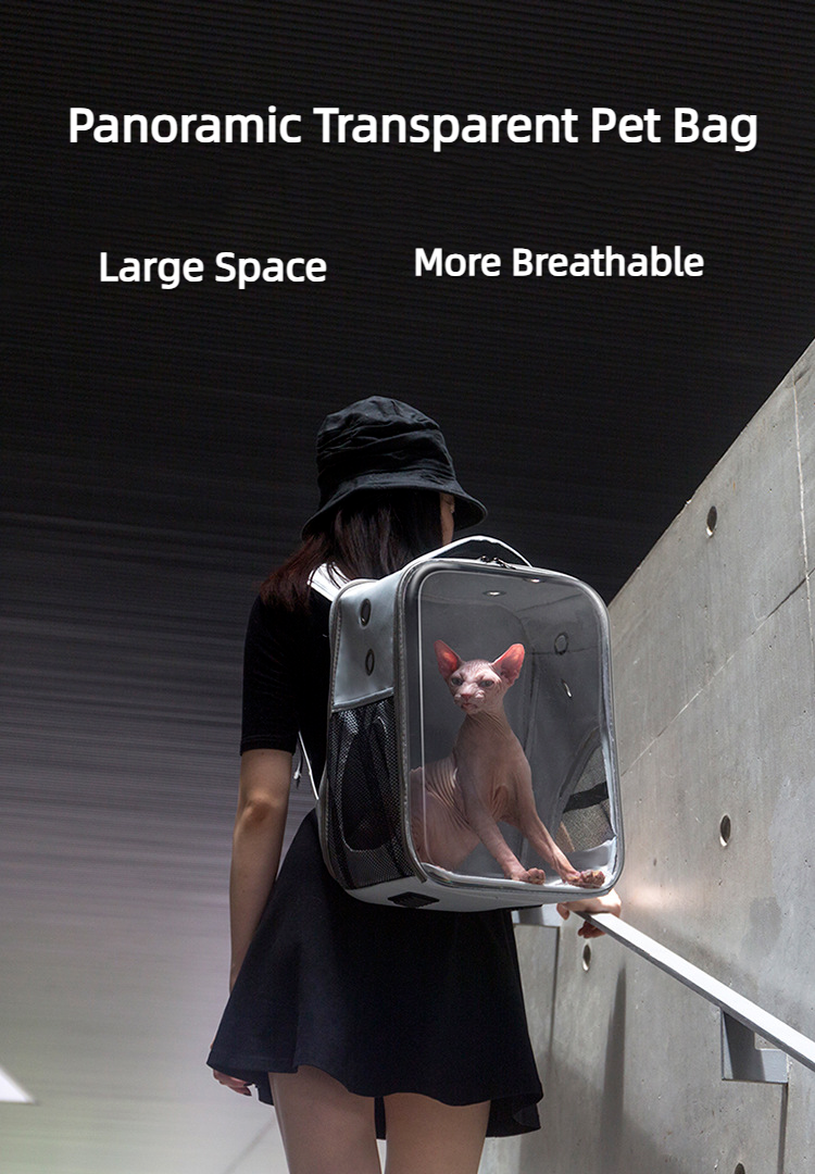 Pet Outdoor Breathable Foldable Clear Large Space Backpack Handheld Shoulder Bag