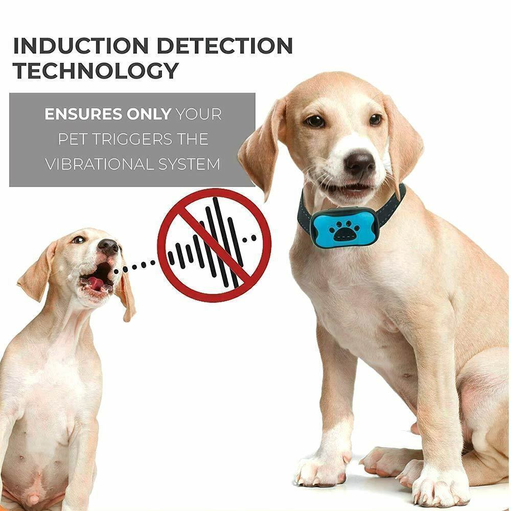 Waterproof Rechargeable Auto Anti Bark Dog Collar Stop Barking No-Shock Trainer