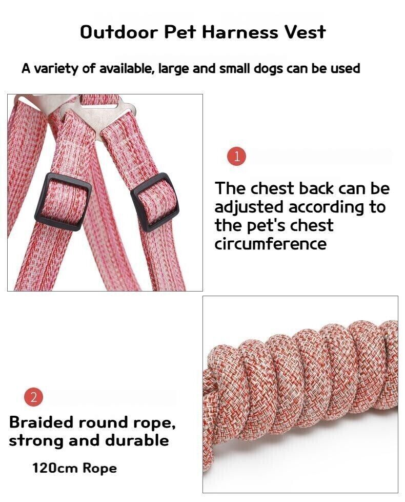 Pet Dog Cat Lead Harness Leash Vest Collar Safe Walking Control Outdoor