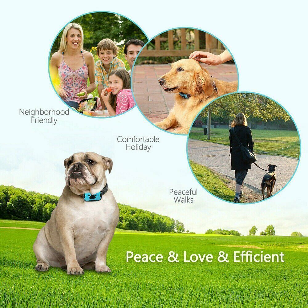 Waterproof Rechargeable Auto Anti Bark Dog Collar Stop Barking No-Shock Trainer