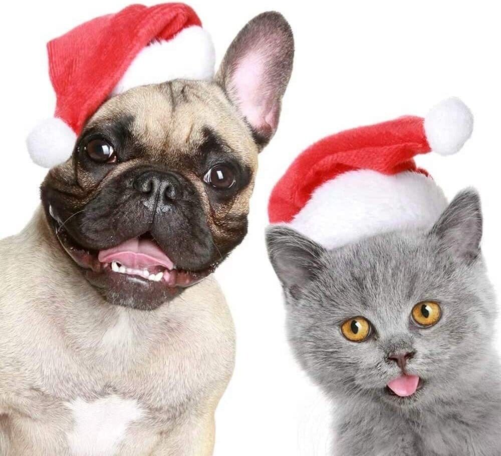 Pet Christmas Decoration Hats Cat Dog Headdress Flannel Shaggy Fluffy Xmas Hat