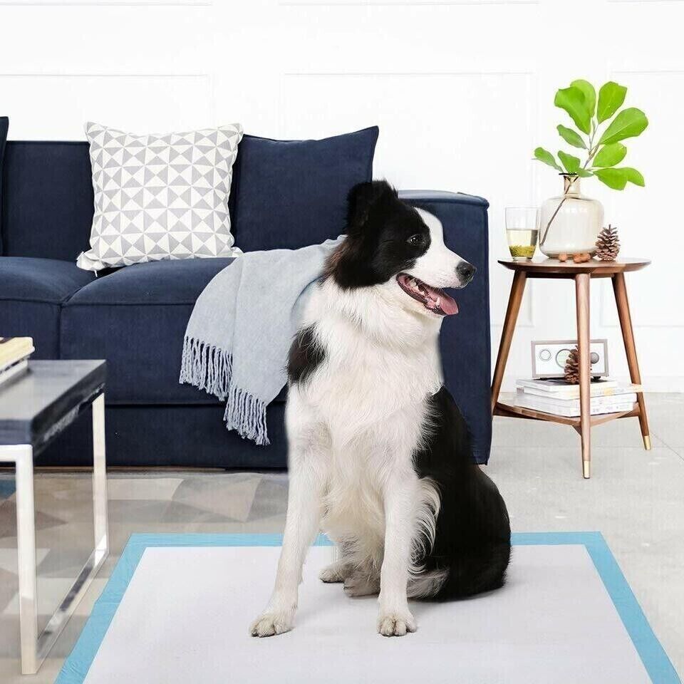 Puppy Pet Dog Toilet Training Pads Indoor Thick Super Absorbent Blue 4 Sizes