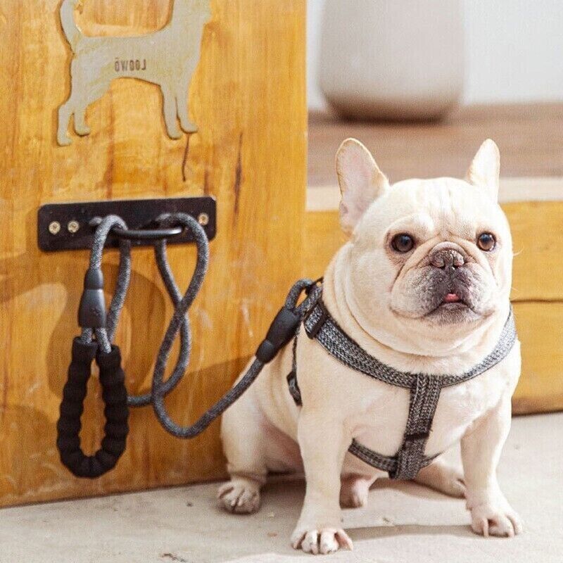 Pet Dog Cat Lead Harness Leash Vest Collar Safe Walking Control Outdoor