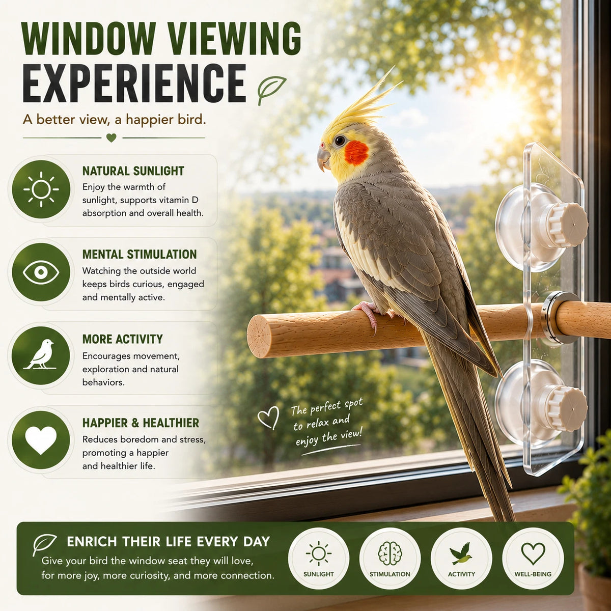 Natural Wood Bird Window Perch 25cm Suction Cup Seat Stand For Budgie Cockatiel