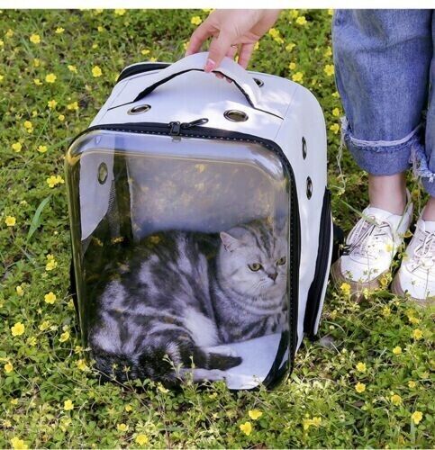 Pet Outdoor Breathable Foldable Clear Large Space Backpack Handheld Shoulder Bag