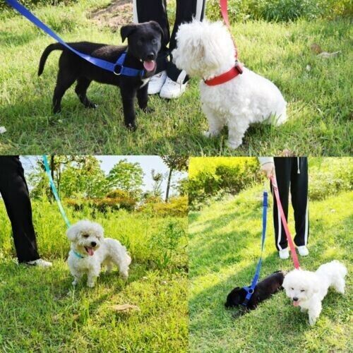 Nylon Adjustable Pet Dog Safety Seat Belt Harness Lead Vehicle Clip Travel Leash