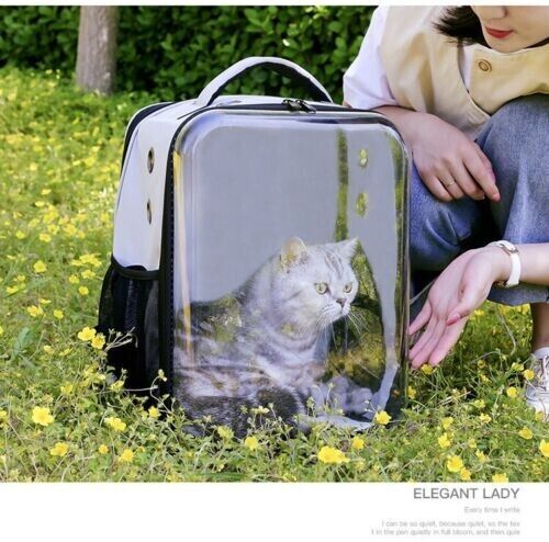 Pet Outdoor Breathable Foldable Clear Large Space Backpack Handheld Shoulder Bag