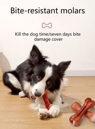 Molar Stick Pet Toy Bite-resistant Chew Simulation Bone Tooth Cleaning Dog Toy