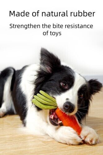 Vocal Bite-resistant Rubber Molars Teeth Cleaning and Boredom Relief Dog Toys