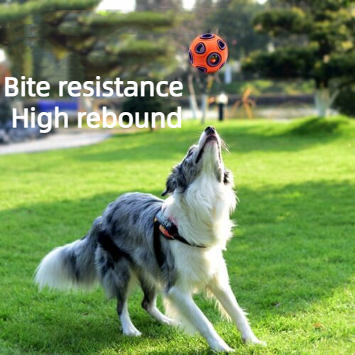 New Pet Toy Ringing Bell Bite Resistant Vocal Rubber Molar Training Ball