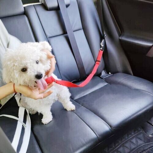 Nylon Adjustable Pet Dog Safety Seat Belt Harness Lead Vehicle Clip Travel Leash