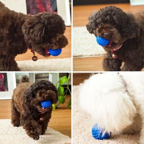 Bite Resistant Pet Interactive Tooth Cleaning Rubber Toy Dog Vocalizing Toys