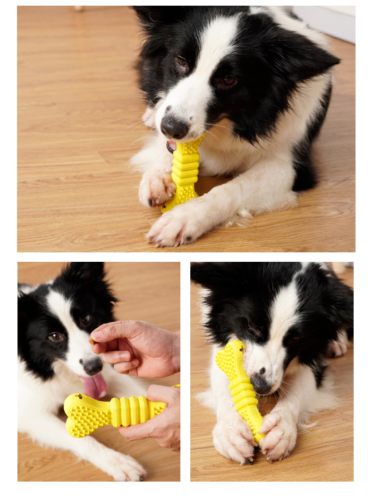 Leaky Food Bone Shaped Pet Toys Dog Toy Gnawing Teeth Grinding Teeth Cleaning
