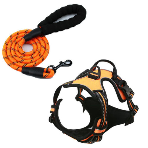 Explosion-proof Punch Dog Chest Strap Collar Buckle Lead Rope Reflective Vest