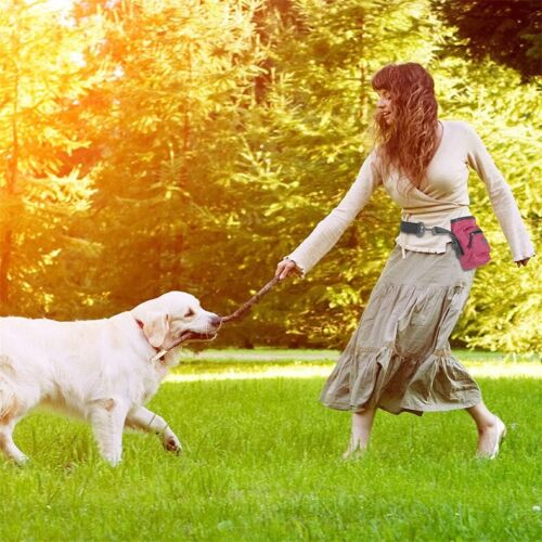 Pet Portable Snack Bag Training Bag Dog Walking Bag With Garbage Pickup Bag
