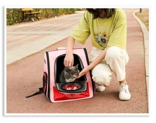 Pet Outdoor Portable Breathable Backpack Cat Dog Space Capsule Shoulder Bag