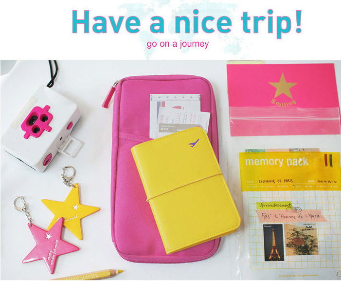 NEW TRAVEL PASSPORT HOLDER WALLET CREDIT CARD ORGANIZER BAG