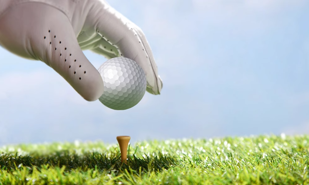 New Durable Wooden Golf Practice Accessory Spikes TEE Holder Ball Rest Ladder