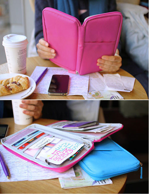 NEW TRAVEL PASSPORT HOLDER WALLET CREDIT CARD ORGANIZER BAG