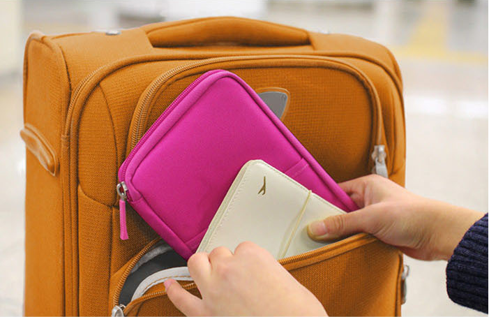 NEW TRAVEL PASSPORT HOLDER WALLET CREDIT CARD ORGANIZER BAG