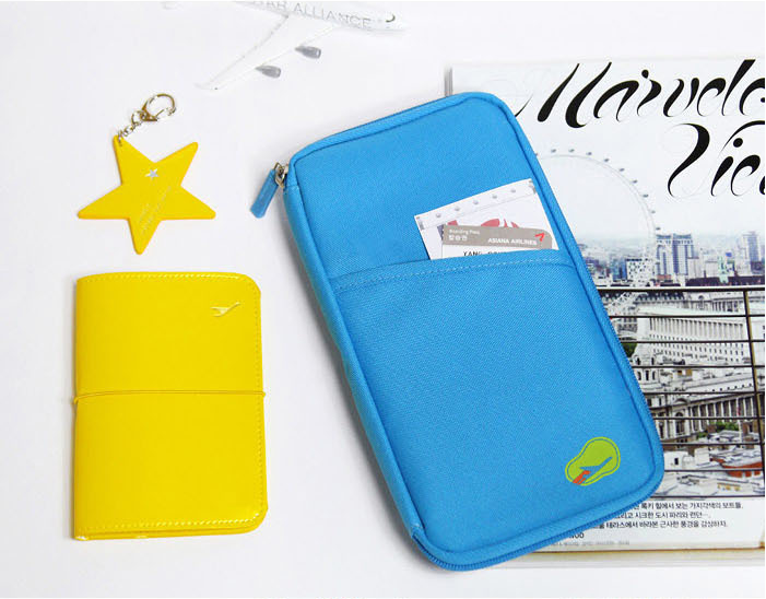 NEW TRAVEL PASSPORT HOLDER WALLET CREDIT CARD ORGANIZER BAG