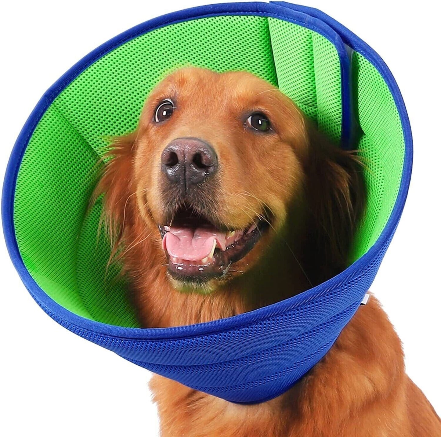 Pet Safety Elizabethan Neck Collar Cat Dog Anti-Bite Scratching Protective Care