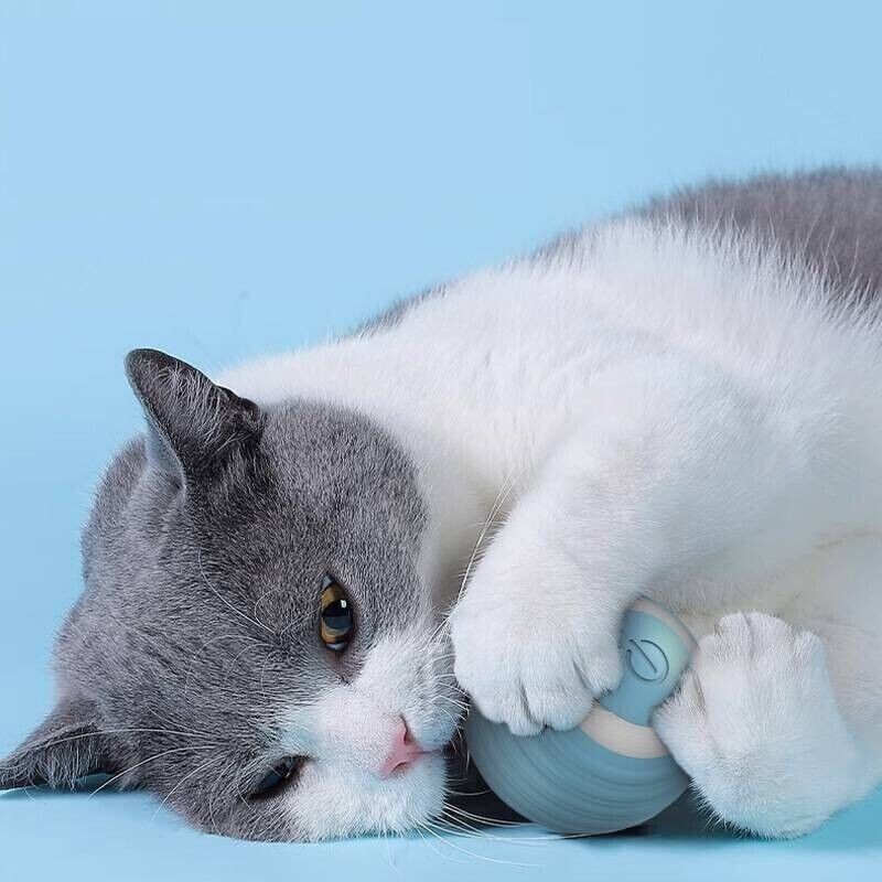 Cat Dog Toy Automatic Rolling Ball Electric Pet Teasing Smart Toys Balls