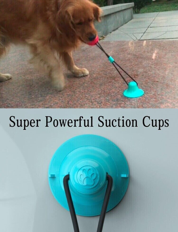 Pet Puppy Molar Bite Toy Suction Cup Tug Rope Ball Dog Tooth Cleaning Chew Toys