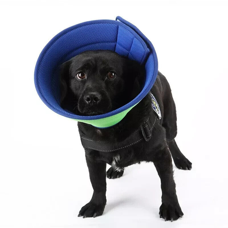 Pet Safety Elizabethan Neck Collar Cat Dog Anti-Bite Scratching Protective Care