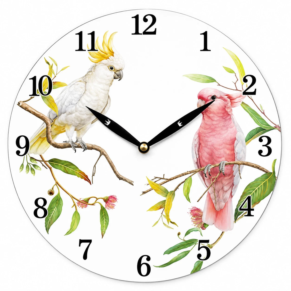 28.8cm Wall Clock Australian Birds Animal Wildlife MDF Round Home Decor