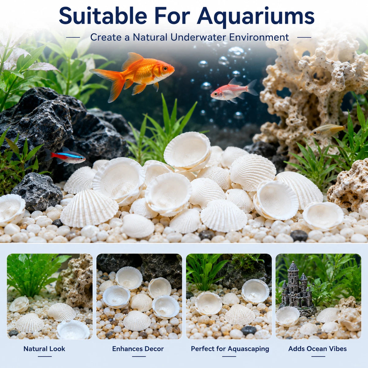 2 Pack White Clam Seashells Shells Craft Jewelery Beads Aquarium Fish Tank Decor 100g Each