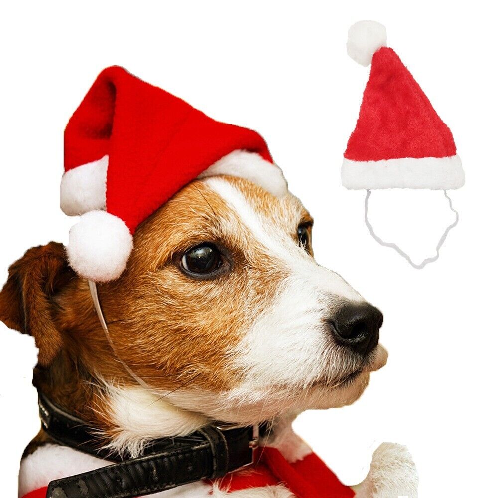 Pet Christmas Decoration Hats Cat Dog Headdress Flannel Shaggy Fluffy Xmas Hat