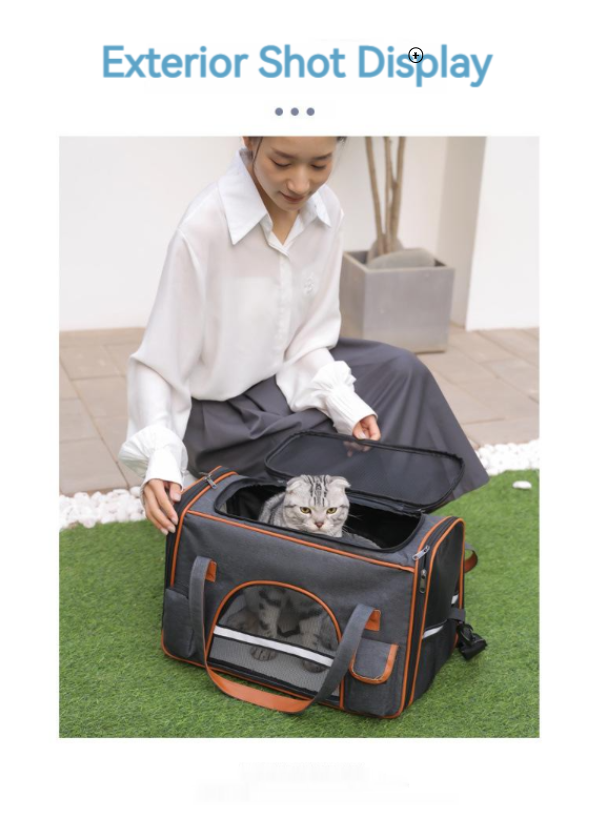 Portable Foldable Breathable Pet Going Out One Shoulder Tote Large Capacity
