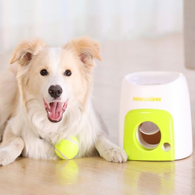 Pet Dog Interactive Toys Put Baseball Reward Machine Dog Feeder Feed Drain