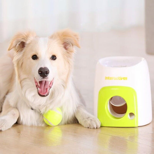 Pet Dog Interactive Toys Put Baseball Reward Machine Dog Feeder Feed Drain