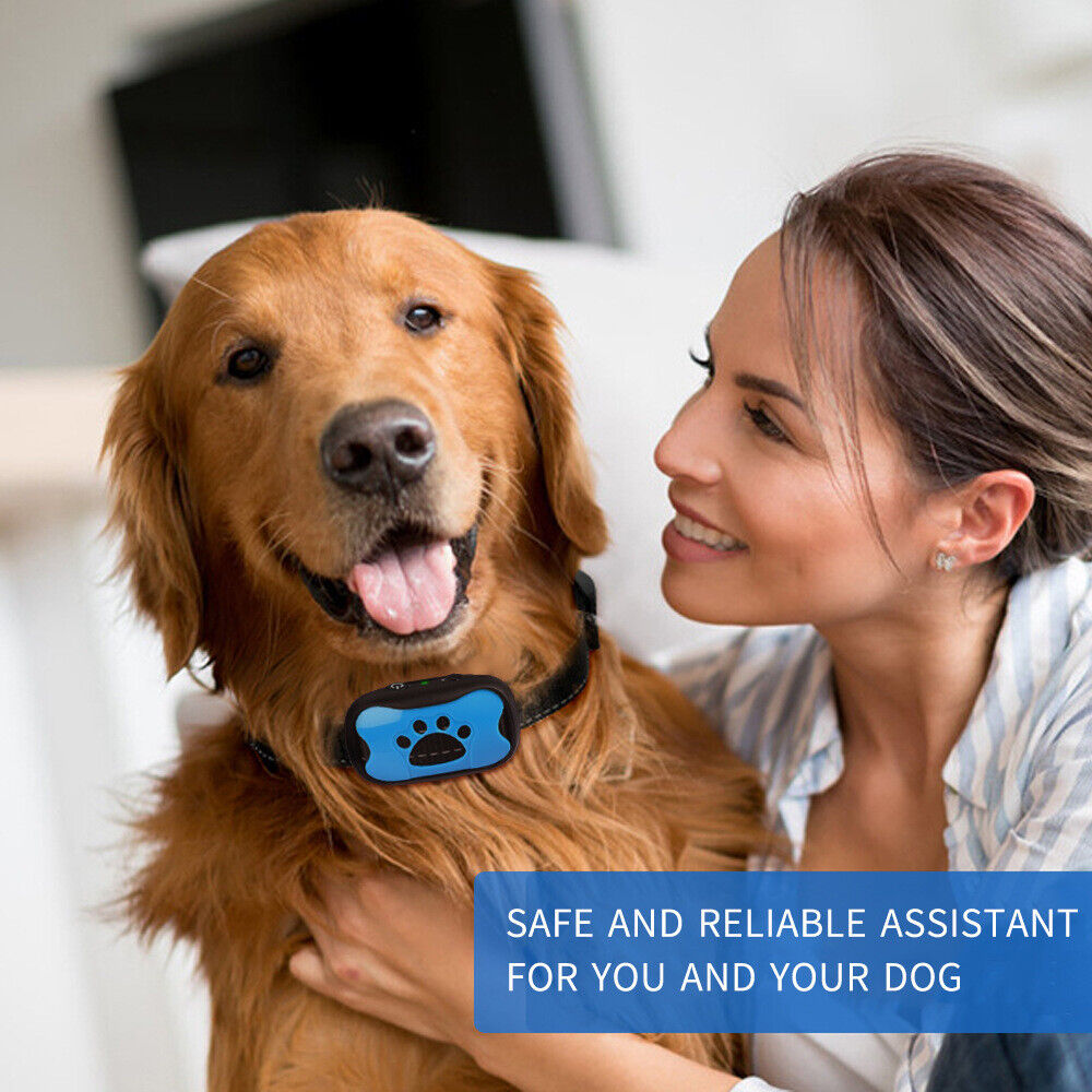 Waterproof Auto Anti Bark Dog Collar Stop Barking No-Shock Trainer Rechargeable