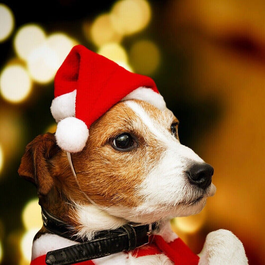 Pet Christmas Decoration Hats Cat Dog Headdress Flannel Shaggy Fluffy Xmas Hat