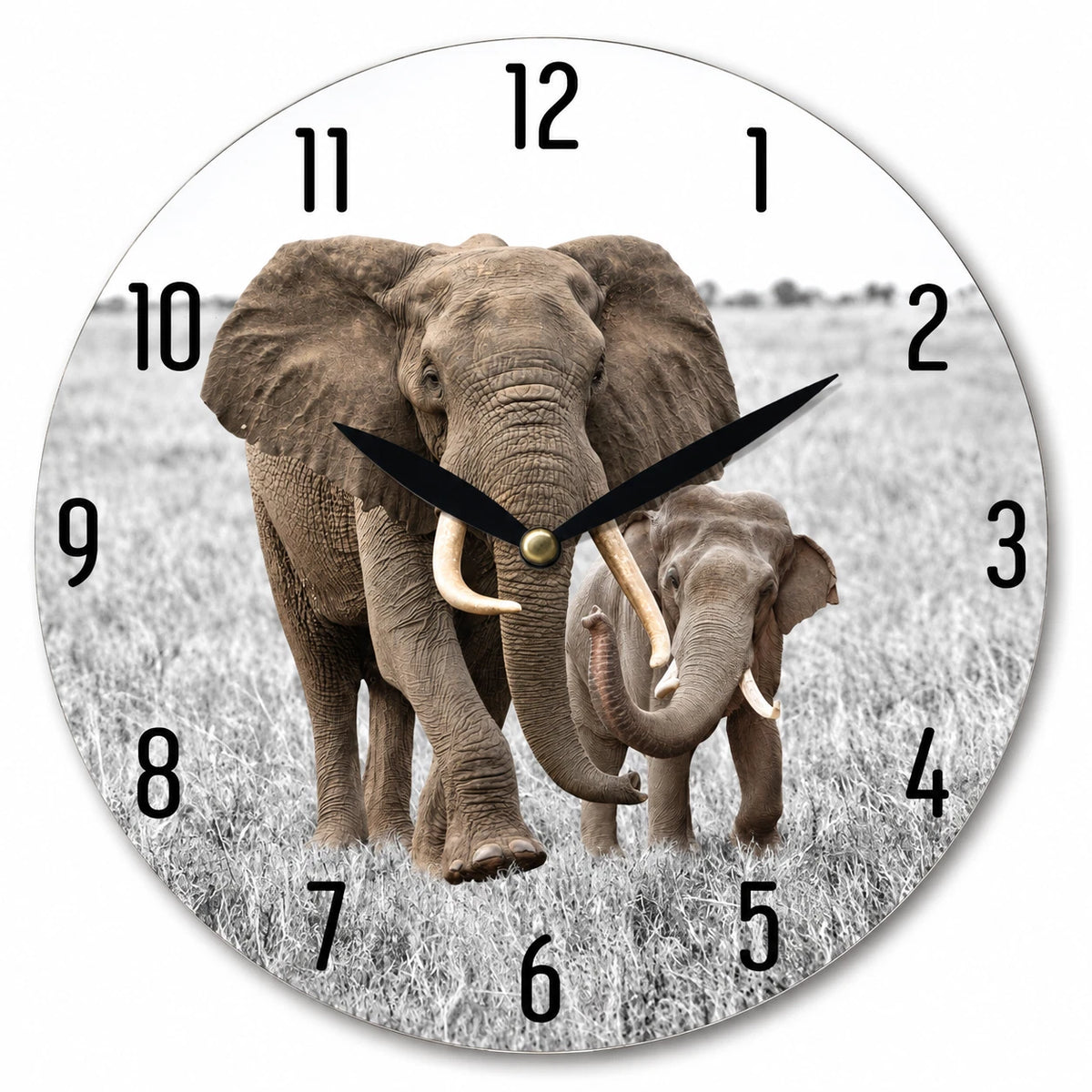 28.8cm Wall Clock Australian Birds Animal Wildlife MDF Round Home Decor