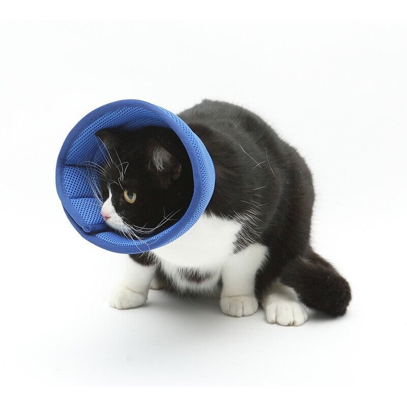 Pet Safety Elizabethan Neck Collar Cat Dog Anti-Bite Scratching Protective Care