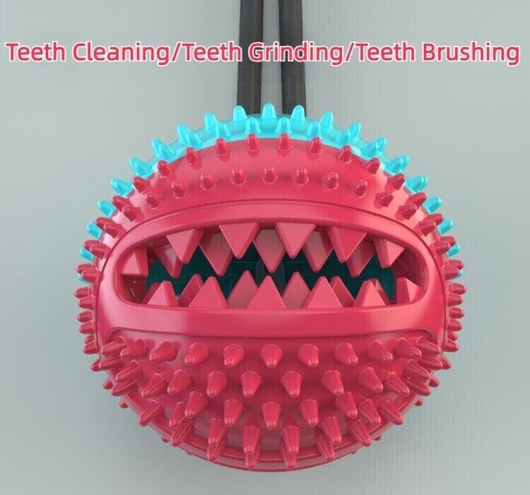 Pet Puppy Molar Bite Toy Suction Cup Tug Rope Ball Dog Tooth Cleaning Chew Toys