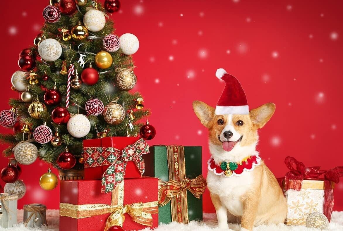 Pet Christmas Decoration Hats Cat Dog Headdress Flannel Shaggy Fluffy Xmas Hat